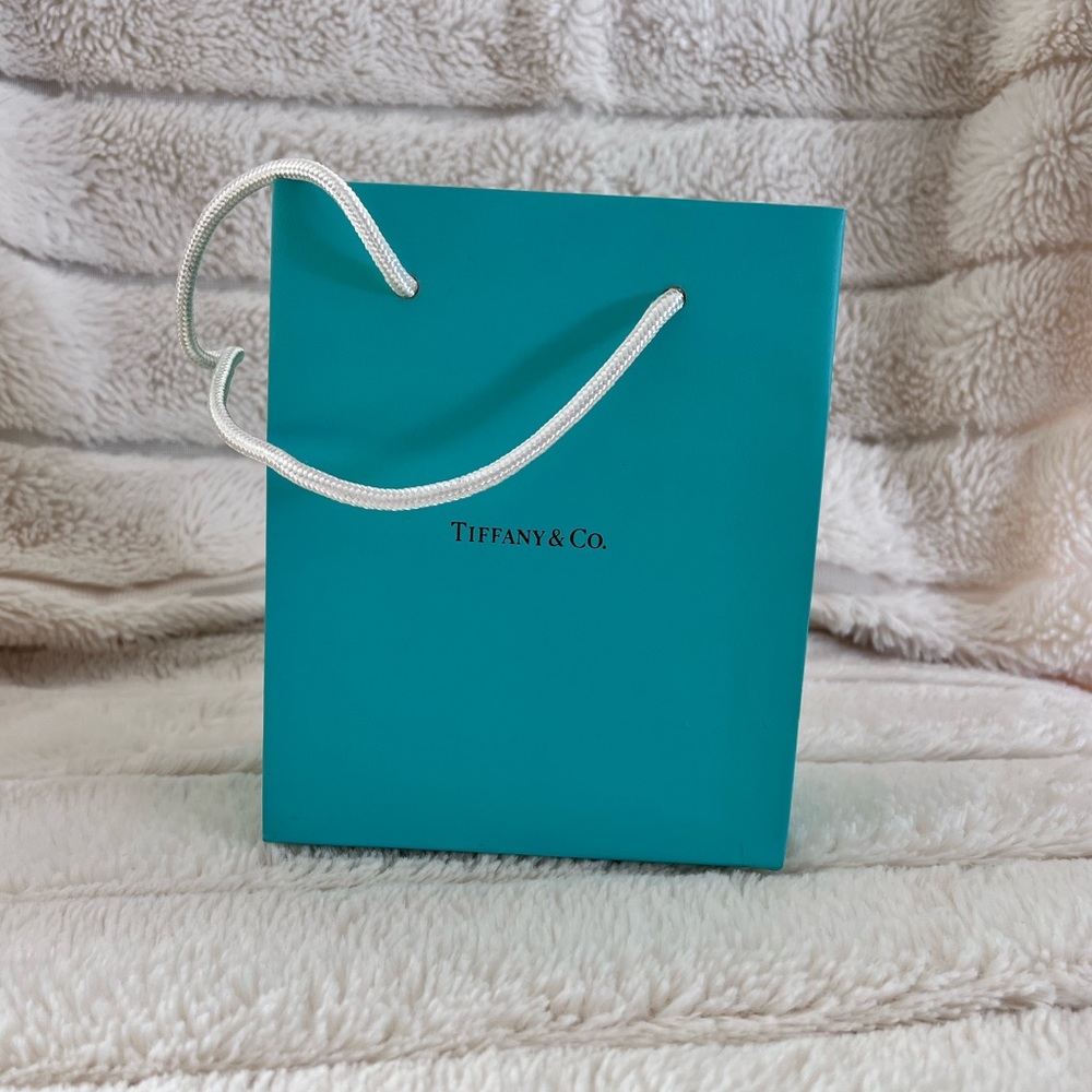 Tiffany & Co Shopping Bag Jewelry Presentation Gif 5*6